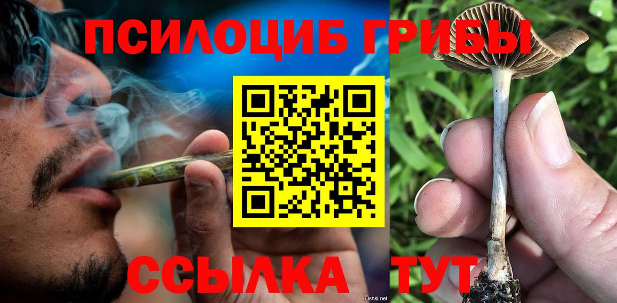 Псилоцибиновые грибы прущие грибы Ханты-Мансийск